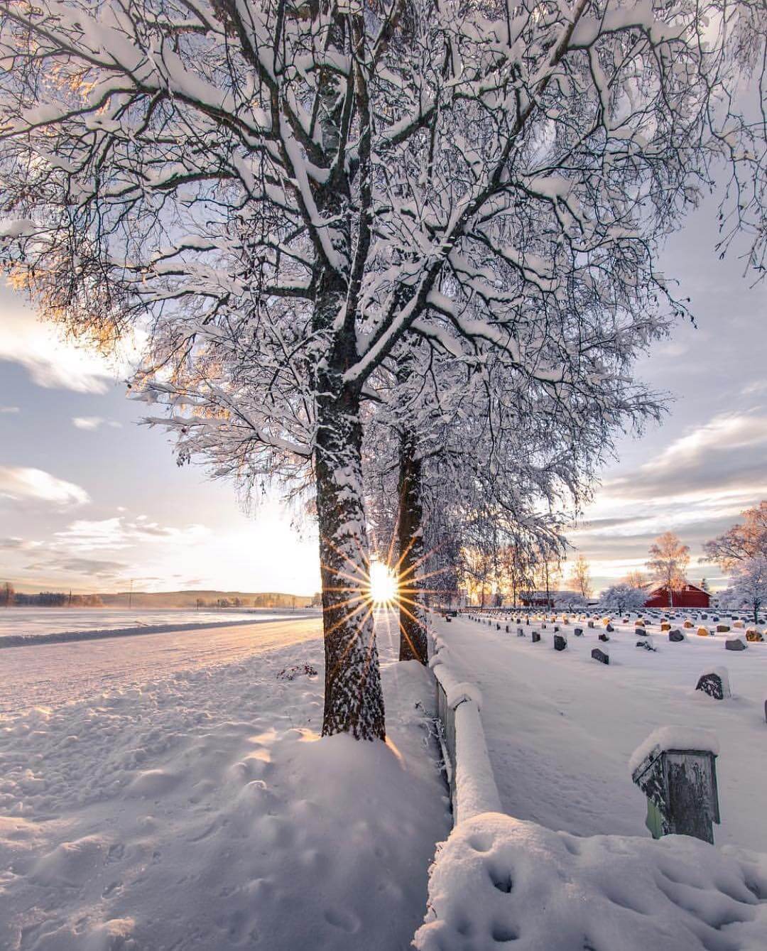 ../multimedia/img/immagini-di-paesaggi/alba tra la neve in Norvegia.jpg